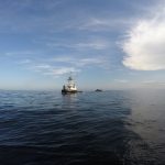 "Miss Cate" Towing Scow