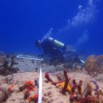 Boca Raton Hard Bottom Monitoring