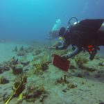 Ocean Ridge Hard Bottom Monitoring