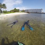 Sea Grass Survey