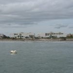 Beach Nourishment Site Just South of the Port of Canaveral Inlet Jetty